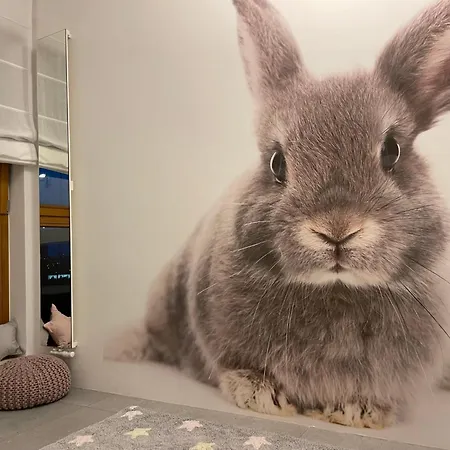 Aggi - Premium Z Widokiem Na Morze - Azw Apartament *