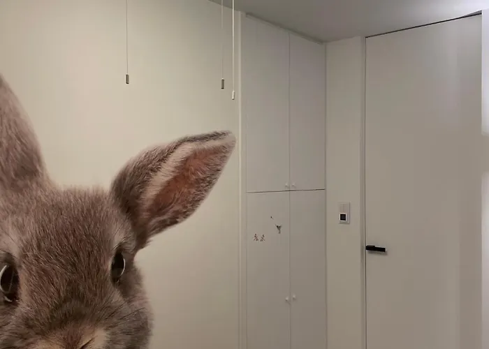 Aggi - Premium Z Widokiem Na Morze - Azw Gdansk